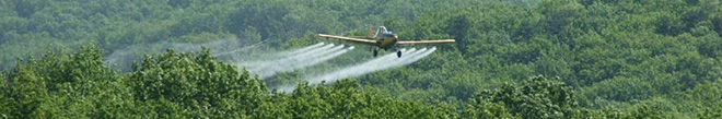 Roundup. WHO finds that Glyphosate is probably carcinogenic – implications for Plan Colombia
