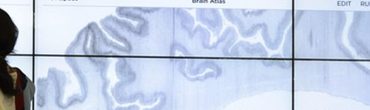NewTech. Human Brain Project’s Research Platforms Released