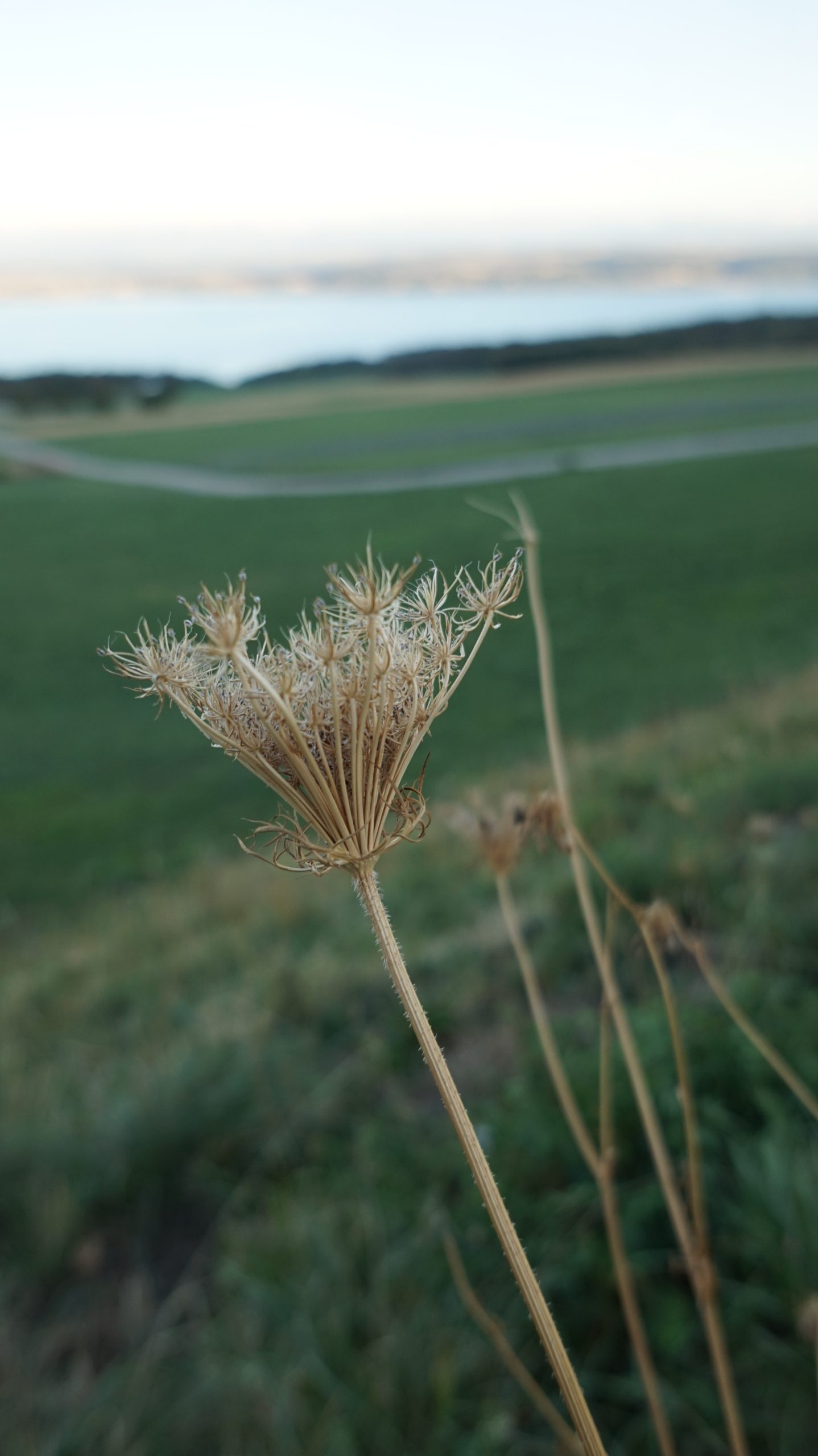 DSC00093
