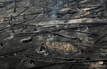 EU plans to build firefighting fleet faster after summer of climate crises