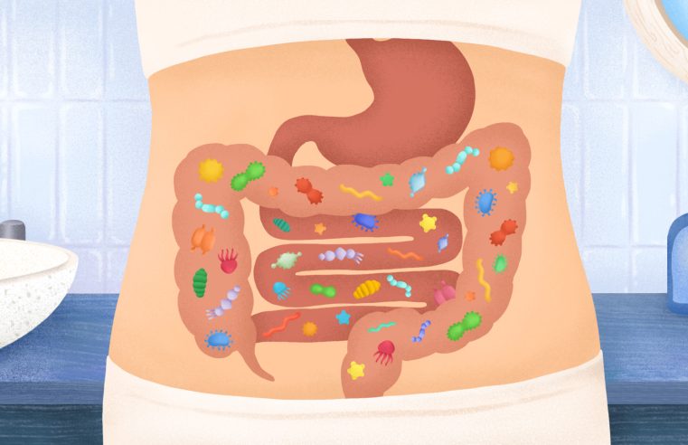 Santé. L’incroyable pouvoir du microbiote