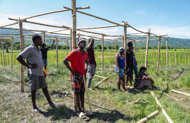 Climat. En Haïti, le réchauffement climatique nourrit le cycle de la violence
