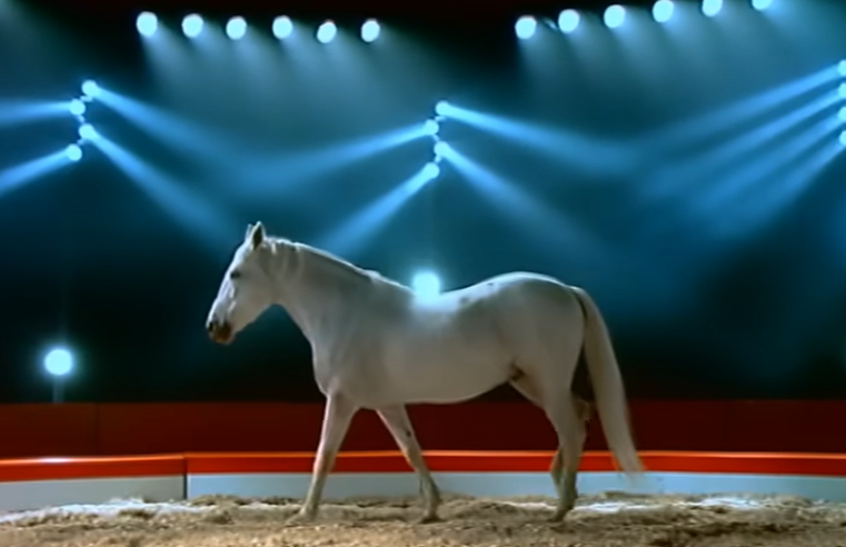 Musique. « Osez Joséphine ». Clip d’Alain Bashung réalisé par Jean-Baptiste Mondino