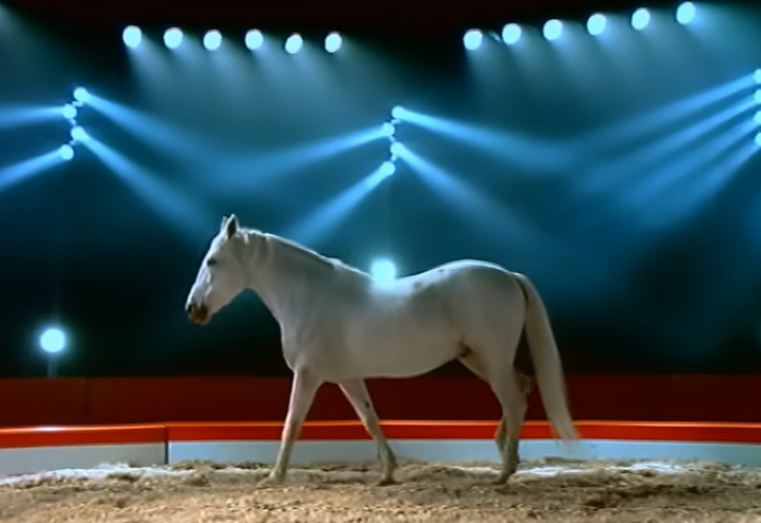 Musique. « Osez Joséphine ». Clip d’Alain Bashung réalisé par Jean-Baptiste Mondino