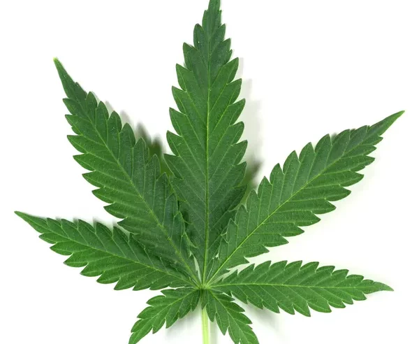 Résumé ultra-synthétique  des prix et des modalités d’achat du cannabis sur le marché noir dans le canton de Vaud