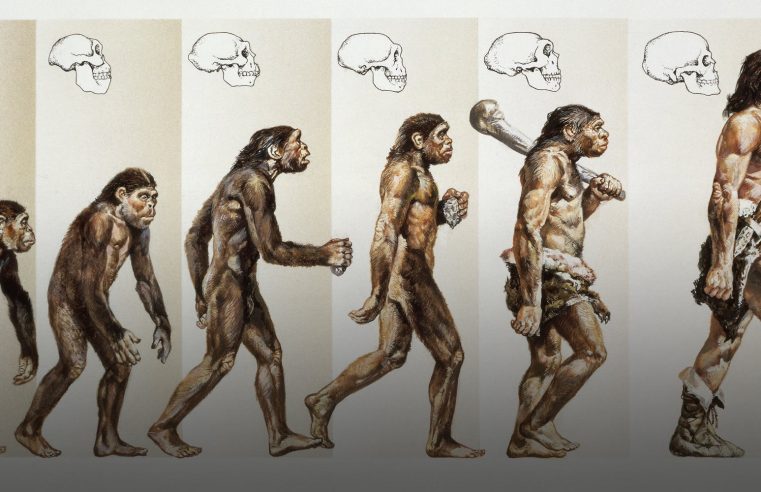 Livre. Homo occidentalis. Un nouvel homme est en train d’advenir.