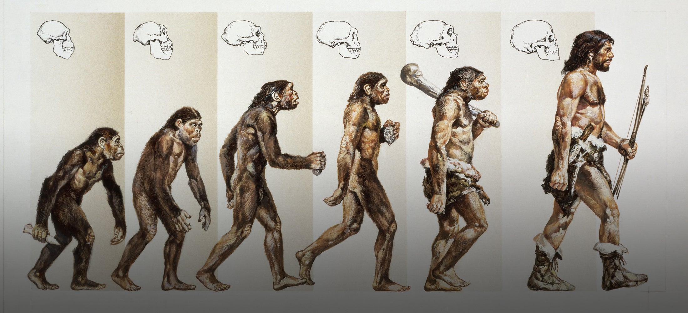 Livre. Homo occidentalis. Un nouvel homme est en train d’advenir.