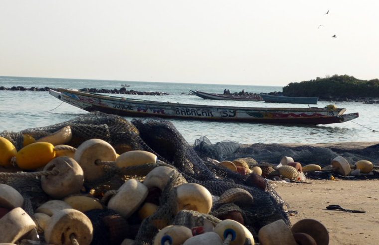 Migration. West African Arrivals to Europe Drop 59 Per Cent as Routes Turn Deadlier, New IOM Data